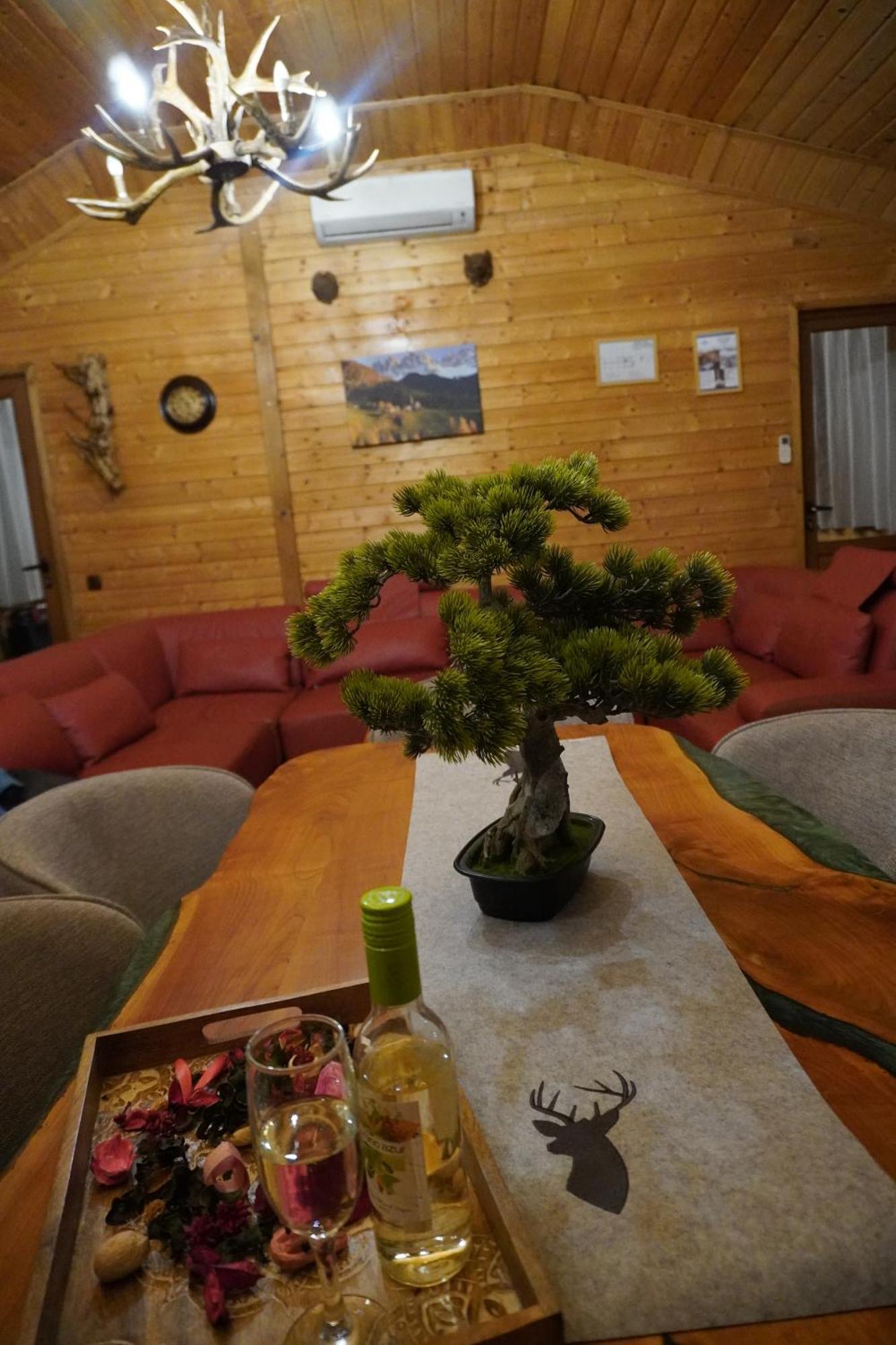 Planinski Polah House デヴィン エクステリア 写真